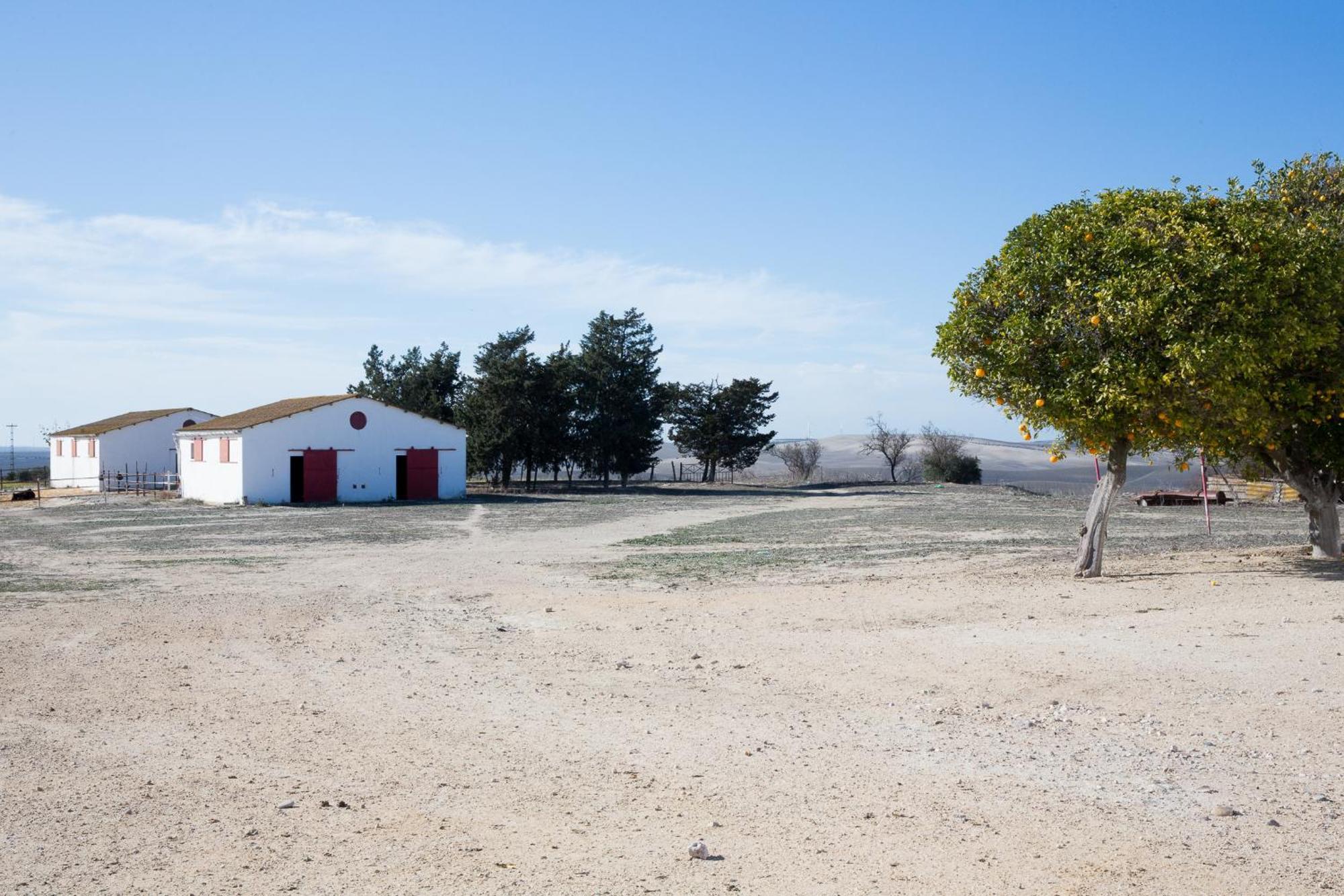 Cortijo Rural La Mariscala Vila Jerez de la Frontera Exterior foto